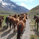 Kirgizsko a Tadzikistan - zábavný cestopis