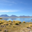 Salar de Coposa